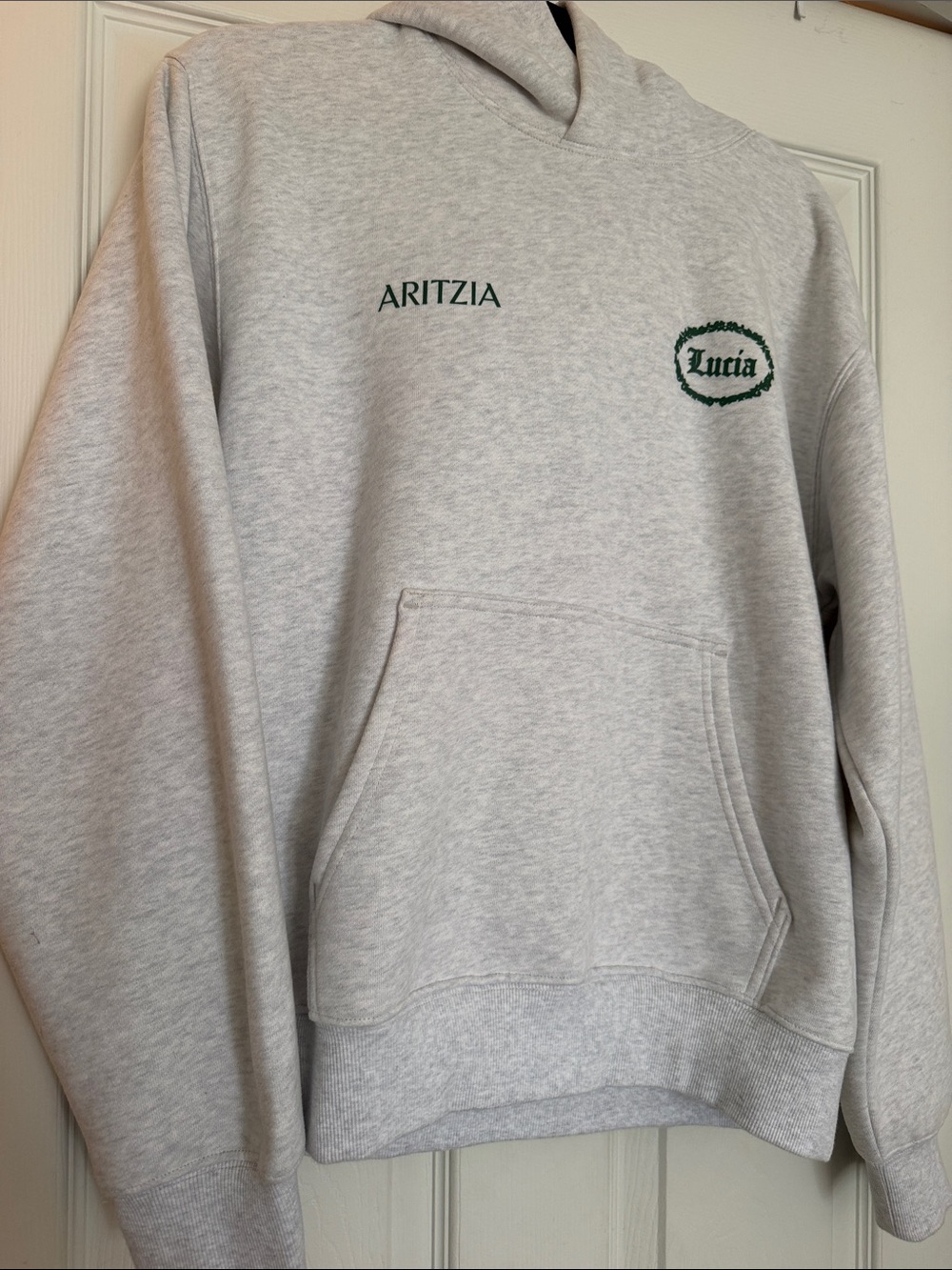 Aritzia limited edition Lucia collab hoodie